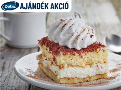 DEBIC AJÁNDÉK AKCIÓ