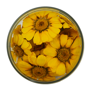 EHETŐ VIRÁG MARGARÉTA SÁRGA IMP. 15 DB