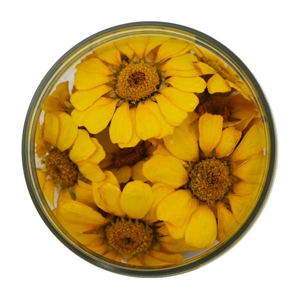 EHETŐ VIRÁG MARGARÉTA SÁRGA IMP. 15 DB