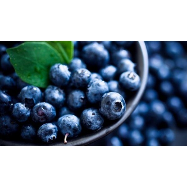 FAGY. ÁFONYA TERMESZTETT KÉK 2,5 KG