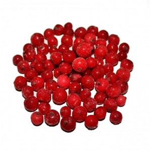 FAGYASZTOTT PIROSRIBIZLI IMP. 10 KG