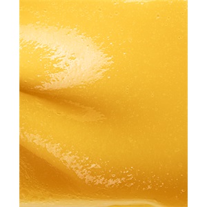 FAGYASZTOTT PÜRÉ ANANÁSZ 91% CARAMAN 1 KG