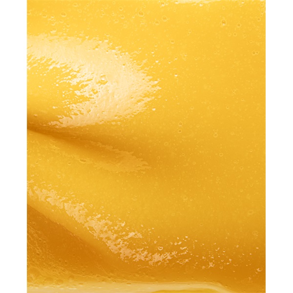 FAGYASZTOTT PÜRÉ ANANÁSZ 91% CARAMAN 1 KG