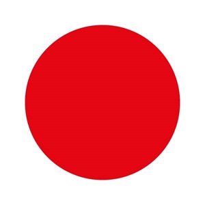 FESTÉK EPERPIROS (PONCEAU) E-124 ÚJ 250 G