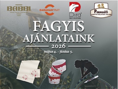 Fagyis ajándékok vásárlása mellé!