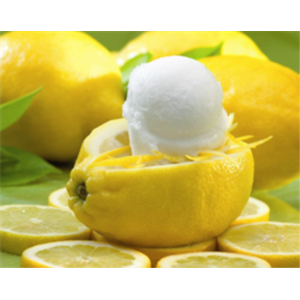 GELATOP AROMAPOR LIMONE PURO 2,5 KG