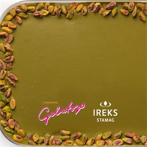 GELATOP PASZTA DD PISZTÁCIA 100 3 KG