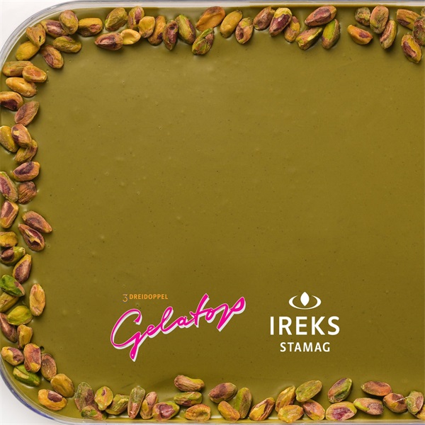 GELATOP PASZTA DD PISZTÁCIA 100 3 KG