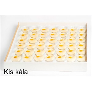 GERA MARCIPÁN KÁLA KICSI 42 DB