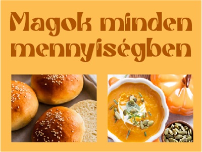 Magok fókuszban
