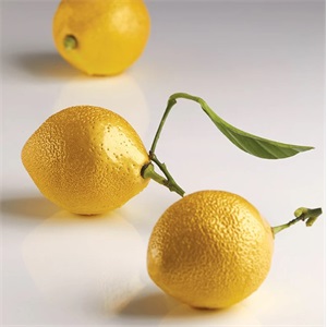 PAVONI REALISZTIKUS SZILIKON FORMA GYÜMÖLCS CITROM 8 DB 5,3*7 CM