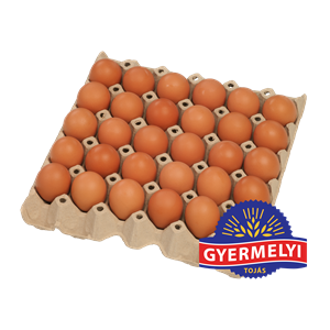 TOJÁS GYERMELYI L-ES 63 G FELÜLETKEZELT 180 DB